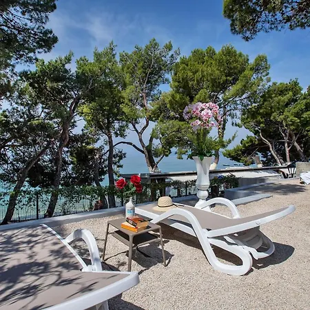 Guest house Luxury Paradise Garden