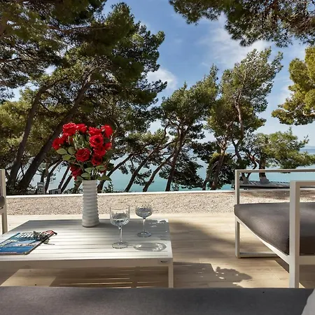Luxury Paradise Garden Guest house
